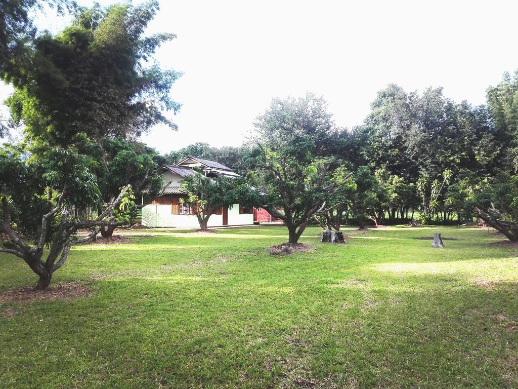 Dreamhome Chiangdao Csiangdau Kültér fotó