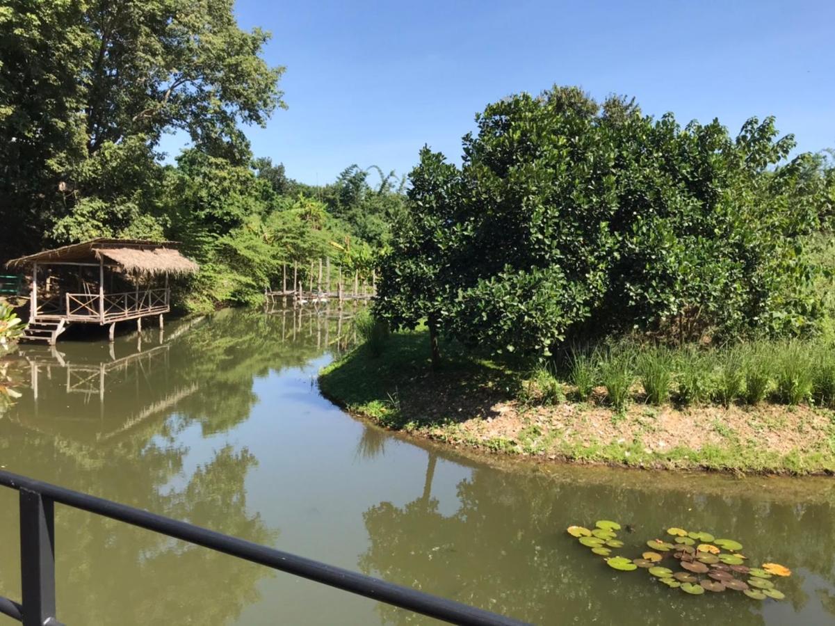 Dreamhome Chiangdao Csiangdau Kültér fotó